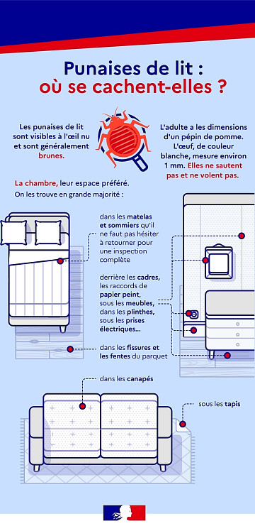 traitement désinfection punaises de lit Paris Ile de France